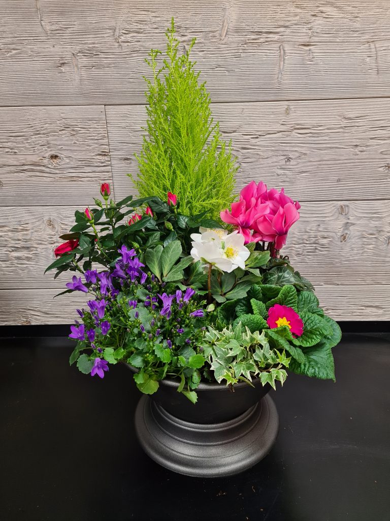 Coupe de plantes