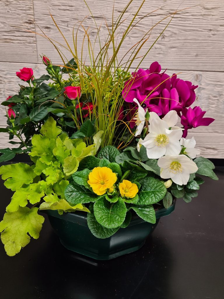 Coupe de plantes