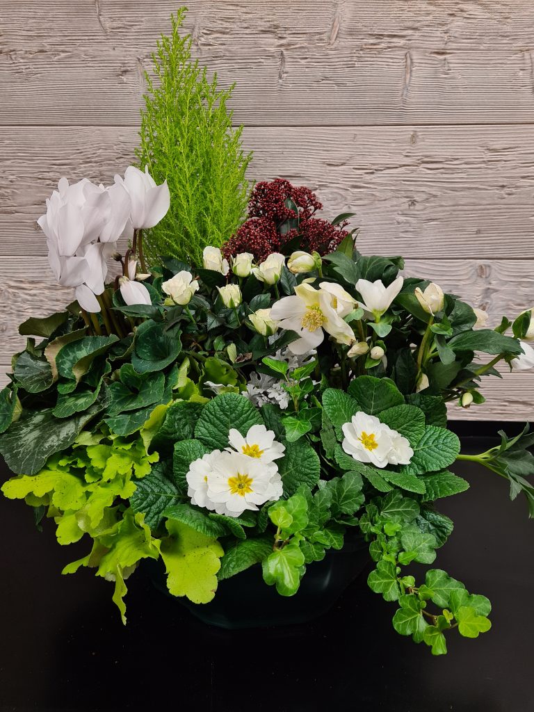 Coupe de plantes