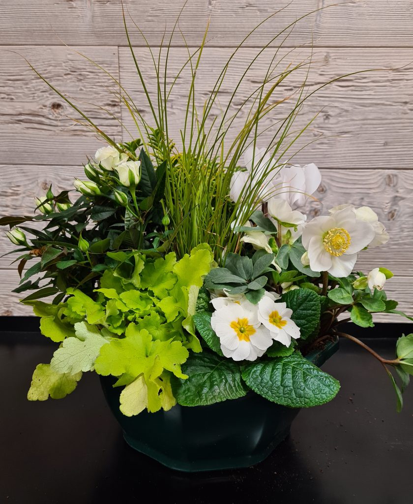 Coupe de plantes