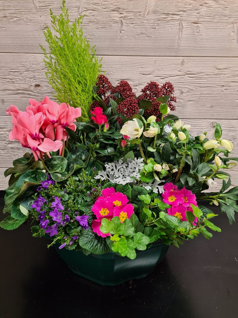 Coupe de plantes extérieures