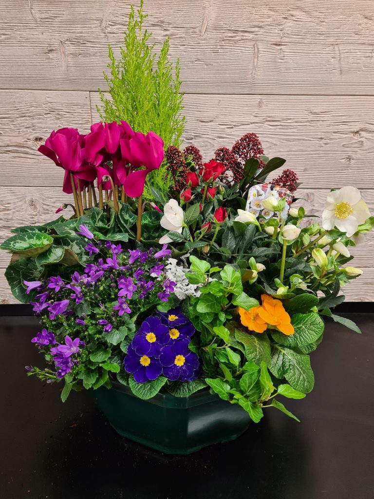 Coupe de plantes