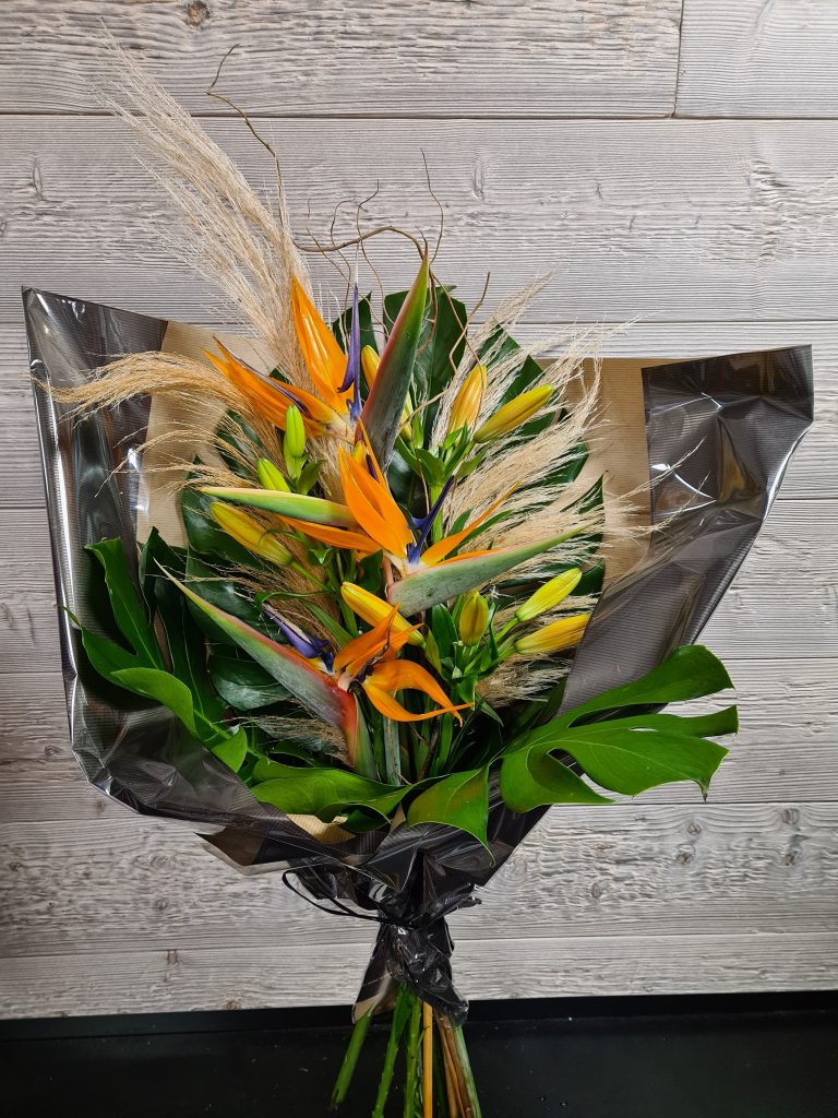 Strelitzia