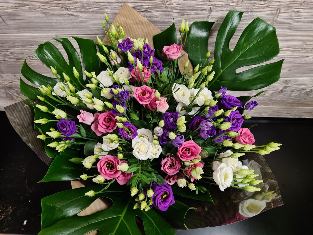 Lysianthus