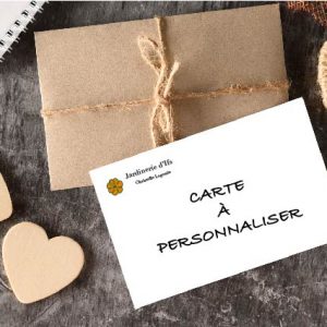Carte de message à personnaliser de la Jardinerie d'Ifs : carte blanche « Carte à personnaliser » avec le logo, posée sur une enveloppe kraft nouée de ficelle et entourée de cœurs en bois