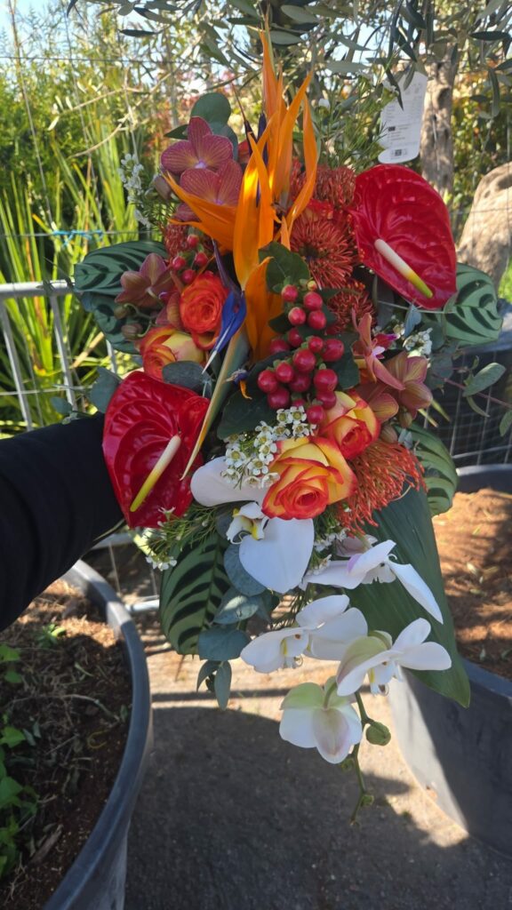 Bouquet exotique tenu à la main : oiseaux de paradis orange, anthuriums rouges, orchidées phalaenopsis blanches et bordeaux, roses bicolores, leucospermum et baies d'hypericum
