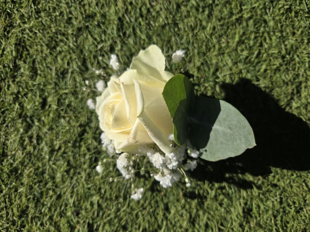Boutonnière de marié en gros plan : une rose blanche, quelques brins de gypsophile et deux feuilles d'eucalyptus