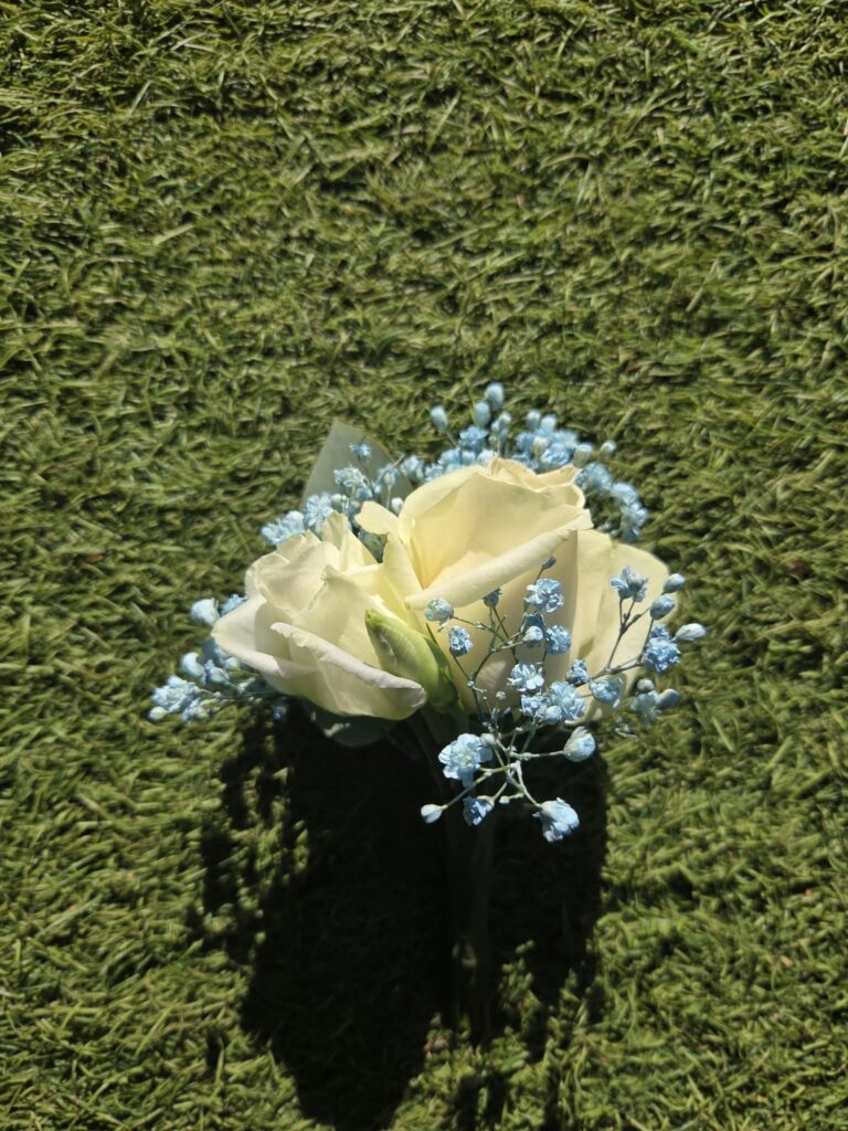 Boutonnière de mariage en gros plan : deux roses ivoire et du gypsophile teinté bleu ciel
