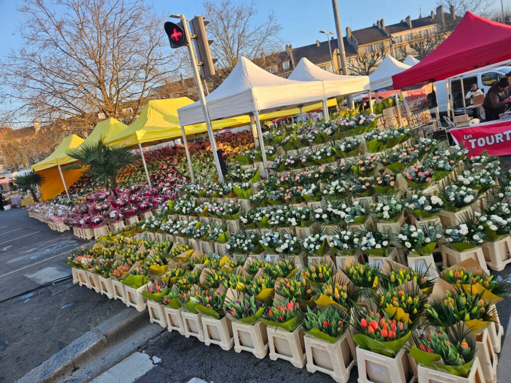 L'étal de la Jardinerie d'Ifs au marché aux fleurs