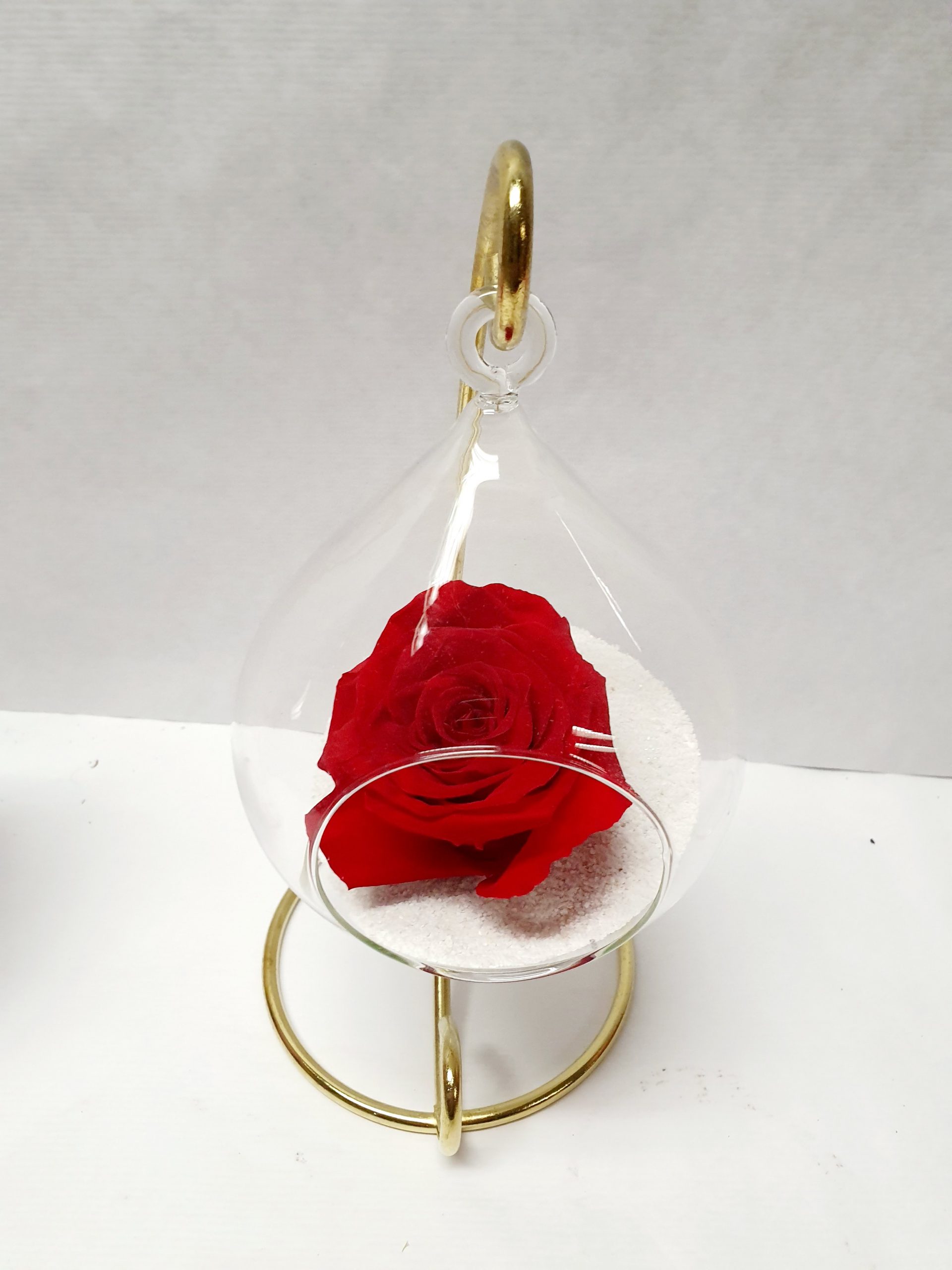 Rose éternelle – Achetez vos fleurs